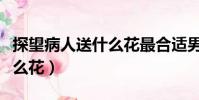 探望病人送什么花最合適男性(探望病人送什么花)