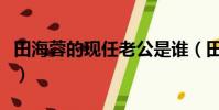 田海蓉的現任老公是誰(田海蓉老公個人資料)