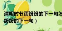 清明時節雨紛紛的下一句怎么說(清明時節雨紛紛的下一句)