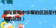 圓尾鱟和中華鱟的區別是什么(圓尾鱟和中華鱟的區別)