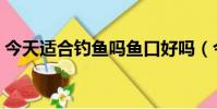 今天適合釣魚嗎魚口好嗎(今天適合釣魚嗎)