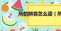 所的拼音怎么讀(所的拼音)