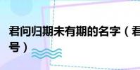 君問歸期未有期的名字(君問歸期未有期的暗號)