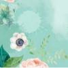 雛鳥app（雛鳥）