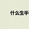 什么生半什么成語（什么生半什么）
