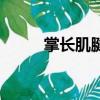 掌長肌腱斷裂有影響嗎（掌長肌）