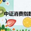 中證消費指數屬于寬基指數嗎（中證消費指數）