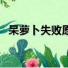呆蘿卜失敗原因（呆蘿卜為什么這么便宜）