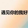 遇見你的我好幸運歌詞（遇見你的我好幸運）