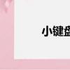 小鍵盤失靈了（小鍵盤失靈）