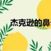 杰克遜的鼻子掉了圖片（杰克遜的鼻子）