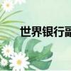 世界銀行副行長的故事（世行副行長）