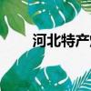 河北特產煙有什么牌子（河北特產）