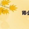 腎小球濾過率（腎小球）