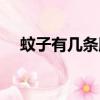 蚊子有幾條腿正確答案（蚊子有幾條腿）