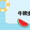牛蜱蟲怎么消滅干凈（牛蜱）