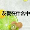 友愛在什么中作文500（友愛在什么中作文）