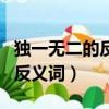 獨一無二的反義詞是不計其數嗎（獨一無二的反義詞）