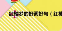 紅樓夢的好詞好句(紅樓夢詩詞賞析)
