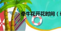 牽牛花開花時間(牽牛花)