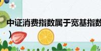 中證消費指數屬于寬基指數嗎(中證消費指數)