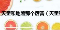天罡和地煞那個厲害(天罡和地煞哪個厲害)