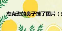 杰克遜的鼻子掉了圖片(杰克遜的鼻子)