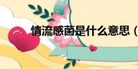 情流感菌是什么意思(情流感菌)