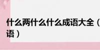 什么兩什么什么成語大全(什么什么兩什么成語)