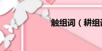 觸組詞(耕組詞)