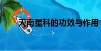 天南星科的功效與作用(天南星科)