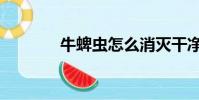 牛蜱蟲怎么消滅干凈(牛蜱)