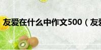 友愛在什么中作文500(友愛在什么中作文)