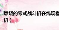 燃燒的零式戰斗機在線觀看(燃燒的零式戰斗機)