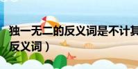 獨一無二的反義詞是不計其數嗎(獨一無二的反義詞)