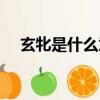 玄牝是什么意思解釋（玄牝是什么意思）