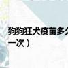 狗狗狂犬疫苗多久打一次一次多少錢（狗狗狂犬疫苗多久打一次）