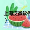 上海泛微軟件公司好嗎（上海泛微軟件怎么樣）