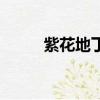 紫花地丁草的功效與作用（紫花）