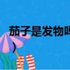 茄子是發物嗎皮膚病可以吃嗎（茄子是發物嗎）