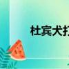 杜賓犬打架厲害嗎（杜賓犬打架）