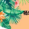 楊樂意 證券（楊樂意）