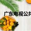 廣東電視公共頻道和事佬（廣東電視公共頻道）