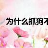 為什么抓狗不抓貓（為什么不抓愛狗人士）
