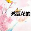 雞豆花的做法流程（雞豆花的做法）