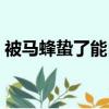 被馬蜂蟄了能自愈嗎（馬蜂蟄了判斷有無刺）