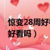 驚變28周好看還是驚變28天好看（驚變28周好看嗎）