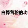 白樺茸粉的功效與作用及食用方法（白樺茸）