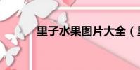 里子水果圖片大全(里子水果)