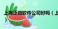上海泛微軟件公司好嗎(上海泛微軟件怎么樣)